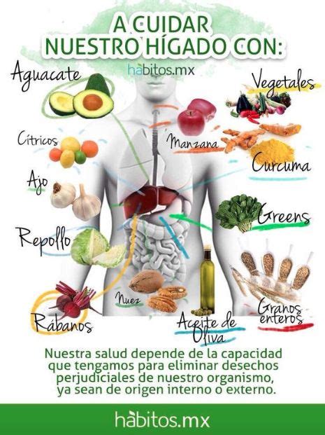 Cómo Desintoxicar El Hígado ⋆ Nutrición Y Salud Y G Nutrición Dieta