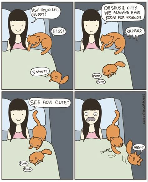 Check spelling or type a new query. Cute Cat Comics - 33 Pics - FunnyFoto - Page 21