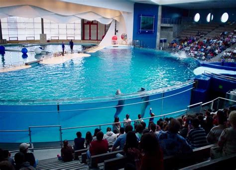 Dolphin Show At The National Aquarium Baltimore Maryland Maryland