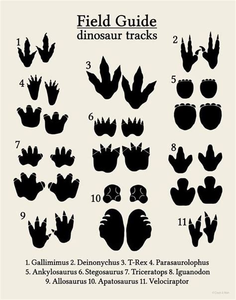 Printable Dinosaur Footprints Printable Word Searches