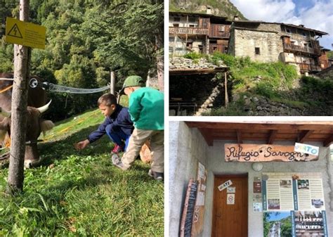 Sono le cascate dell'acquafraggia, vicino borgonuovo, che con la loro impetuosità rinfrescano le calde giornate estive a piuro, comune di fianco a le cascate poco lontane dal centro sono un tocco in più. Cascate Acquafraggia e Rifugio Savogno con bambini ...