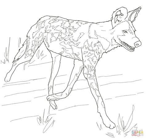 African Wild Dog or Painted Hunting Dog coloring page | Free Printable Coloring Pages