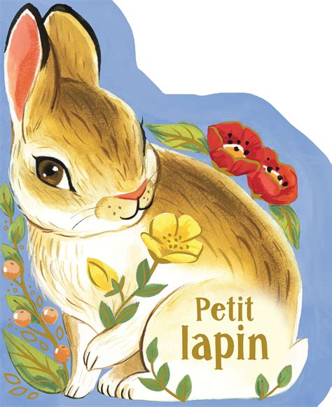 Petit Lapin Éditions Ptit Chou Presses Aventure