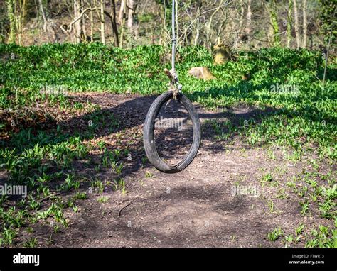 Rope Tyre Swing Hi Res Stock Photography And Images Alamy