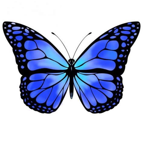 736 x 1309 jpeg 99 кб. Blue butterfly by VicksterXP | Blue butterfly tattoo ...