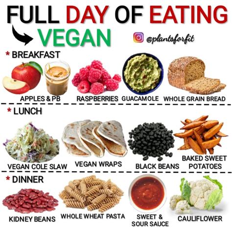 Health Advice Vegan Recipes On Instagram “full Day Of Eating Vegan😋