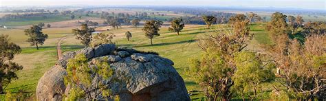 Our main newsletter, featuring information on ways to prevent cancer, the latest research, and how to support those affected by cancer. Greater Hume - Your Council NSW