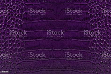 Purple Embossed Leather Texture Background Stock Photo Download Image