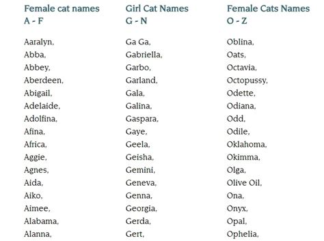 Here you will find hundreds of unusual cat names to choose from. Cute Cat Names Female Unique - cuteanimals