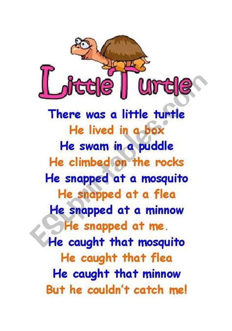 turtle worksheet kindergarten songs kids poems preschool