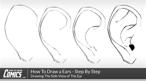 How To Draw A Ears Step By Step Tutorial For Drawing Ears From The