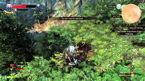 Wild hunt achievements worth 1,000 gs. The Witcher 3: Wild Hunt - Pest Control Achievement Guide ...