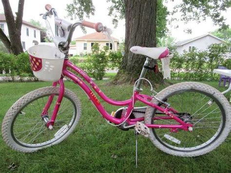 Check spelling or type a new query. Trek 20 inch girl%27s Mystic bike with basket. You may ...
