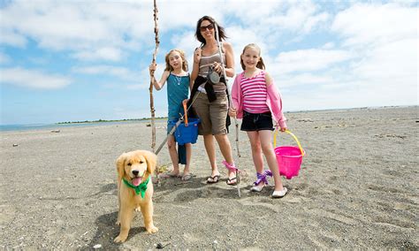 Nightly rates for pet friendly beach hotels in florida are starting from $120 this weekend. How Pet-Friendly is St. Augustine? | Visit St Augustine