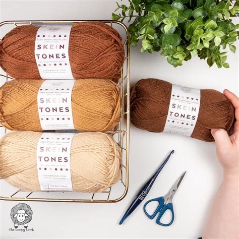 Lion Brand Skein Tones Yarn Review The Loopy Lamb