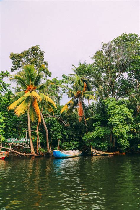 12 Very Best Things To Do In Sri Lanka Hand Luggage Only Travel
