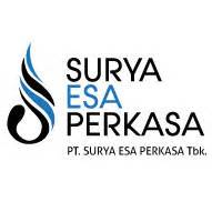 Di tahun 2009, sm ditunjuk sebagai distributor tunggal yang memegang kendali strategi distribusi dan. Lowongan Kerja Operator Kilang LPG Plant - PT Surya Esa ...