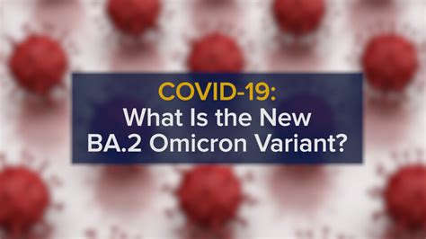 The Ba2 Omicron Variant A More Contagious Covid 19 Variant And How