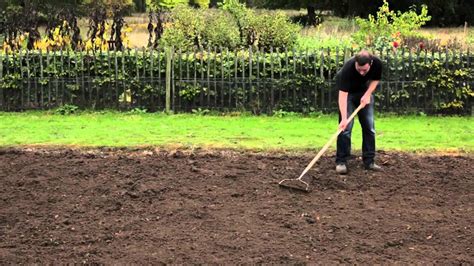 This is the flower of the grass plant. Soil & Preparation - A Class Turf