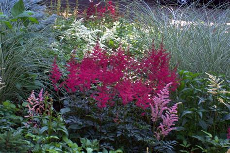 Discover hundreds of ways to save on your favorite products. 10 Perennials To Plant This Fall To Make Your Garden Beautiful