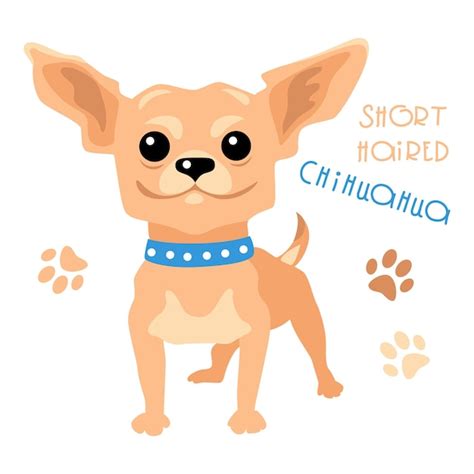 Ładny Zabawny Pies Opalony Krótkowłosy Jeleń Głowa Rasy Chihuahua Wektor Premium Wektor
