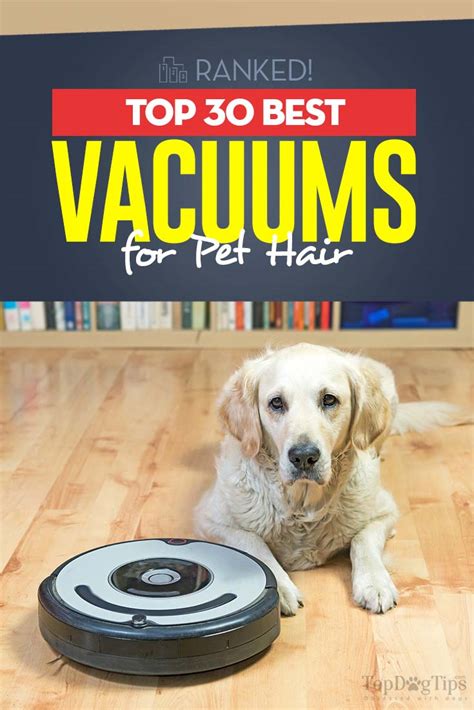 Check spelling or type a new query. 35 Best Vacuums for Dog Hair of 2020 (Cheap, Mid-Range and ...
