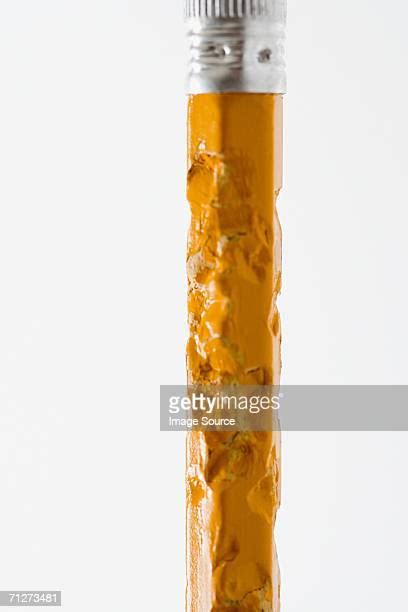 Chewed Wood Photos And Premium High Res Pictures Getty Images