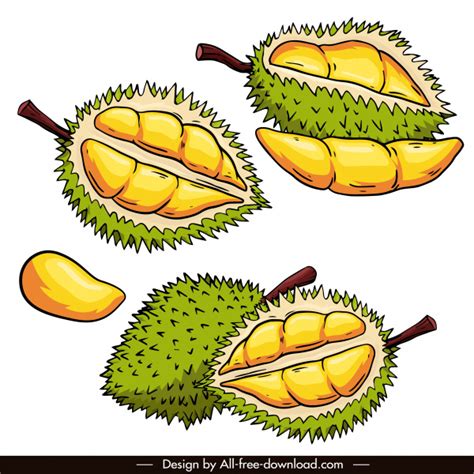 Sketsa Pohon Durian