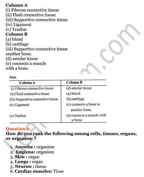 Selina Concise Biology Class 7 Icse Solutions Chapter 1 Plant And