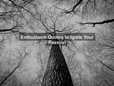 Enthusiasm Quotes To Ignite Your Passion Quotekind