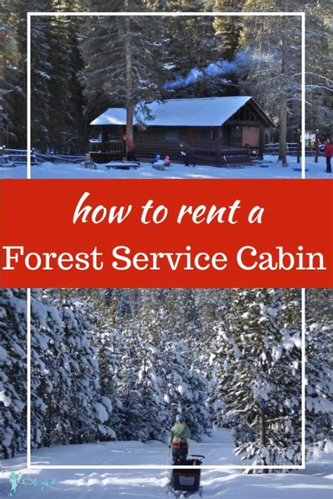 Featuring our sawmill and golden stone homes, nestled beside. Why You Should Rent a Cabin in The Woods Near Me: Forest ...