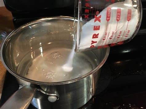 Make water just hot enough to dissolve sugar, but not boiling. Homemade Hummingbird Food Recipes | ThriftyFun