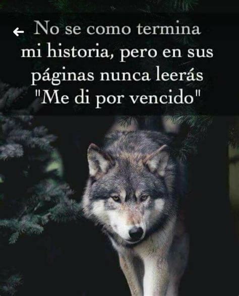 Álbumes 97 Foto Imagenes De Lobos Con Frases De Amor Con Movimiento