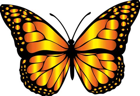 107 Best Butterfly Clip Art Images On Pinterest Butterflies Clip Art