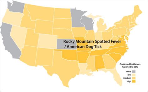 What is rocky mountain spotted fever? ticks Archives - Knoxville Pediatric Associates, P.C.