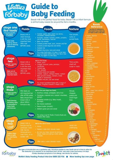 Guide To Baby Feeding! Great list of foods for babies after 6 months of
