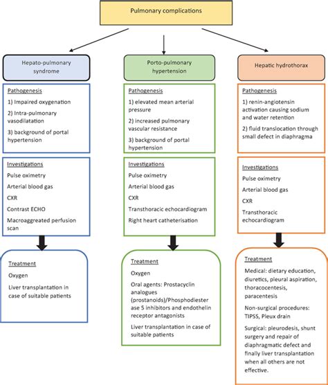 Pulmonary Complications Of Liver Cirrhosis A Concise Review Intechopen