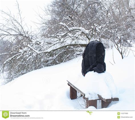 Winter Snow Landscape Tree Cold Forest Trees Nature