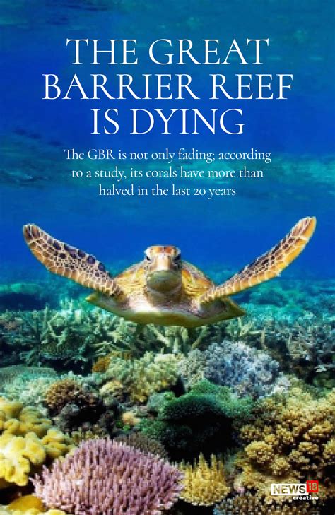 The Great Barrier Reef Is Dying Heres Why Forbes India