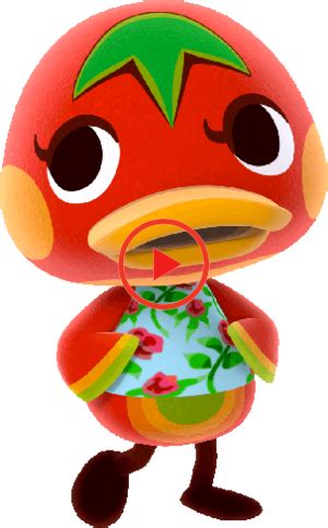 Ketchup - Nookipedia, the Animal Crossing wiki | Animal crossing characters, Animal crossing ...