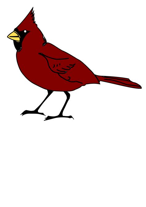 Clipart Cardinal