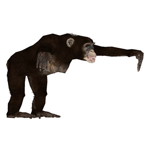 Australopithecus Luca9108 Zt2 Download Library Wiki Fandom