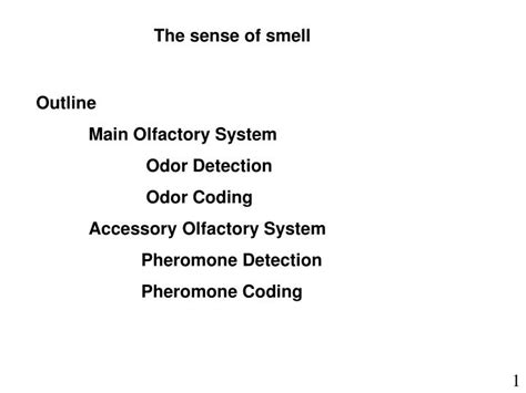 Ppt The Sense Of Smell Powerpoint Presentation Free Download Id