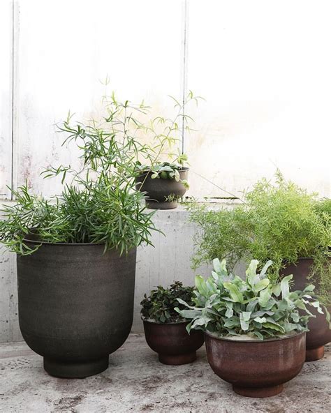 Cactus' thick, waxy skin traps moisture and tolerates bright light. Oversized plants are perfect for making a statement. And a ...