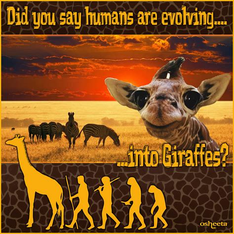 Human Evolution The Great Giraffe Challenge The Great Giraffe