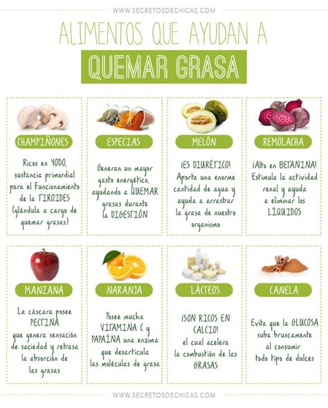 Alimentos Que Ayudan A Quemar Grasa Infograf As Y Remedios