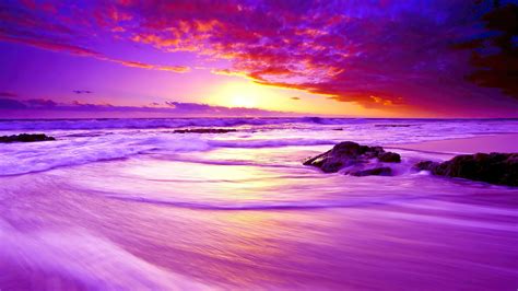 Purple Beach Sunset 4k Hd Wallpapers Hd Wallpapers Id 31905