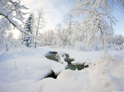 Suchen nach dem besten hintergrundbild? Winterbilder Tiere Als Hintergrundbild / Hintergrundbilder ...