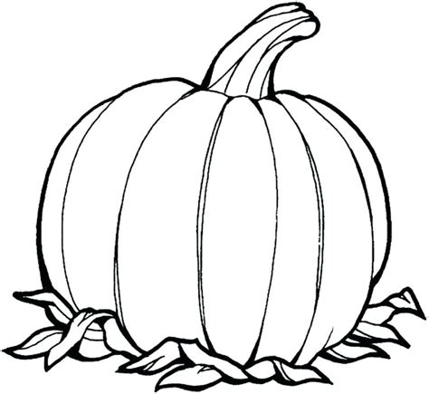 Free Pumpkin Drawing at GetDrawings | Free download