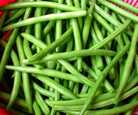 Cara alami ini untuk membuat sayur hijau rebus tetap hijau ...